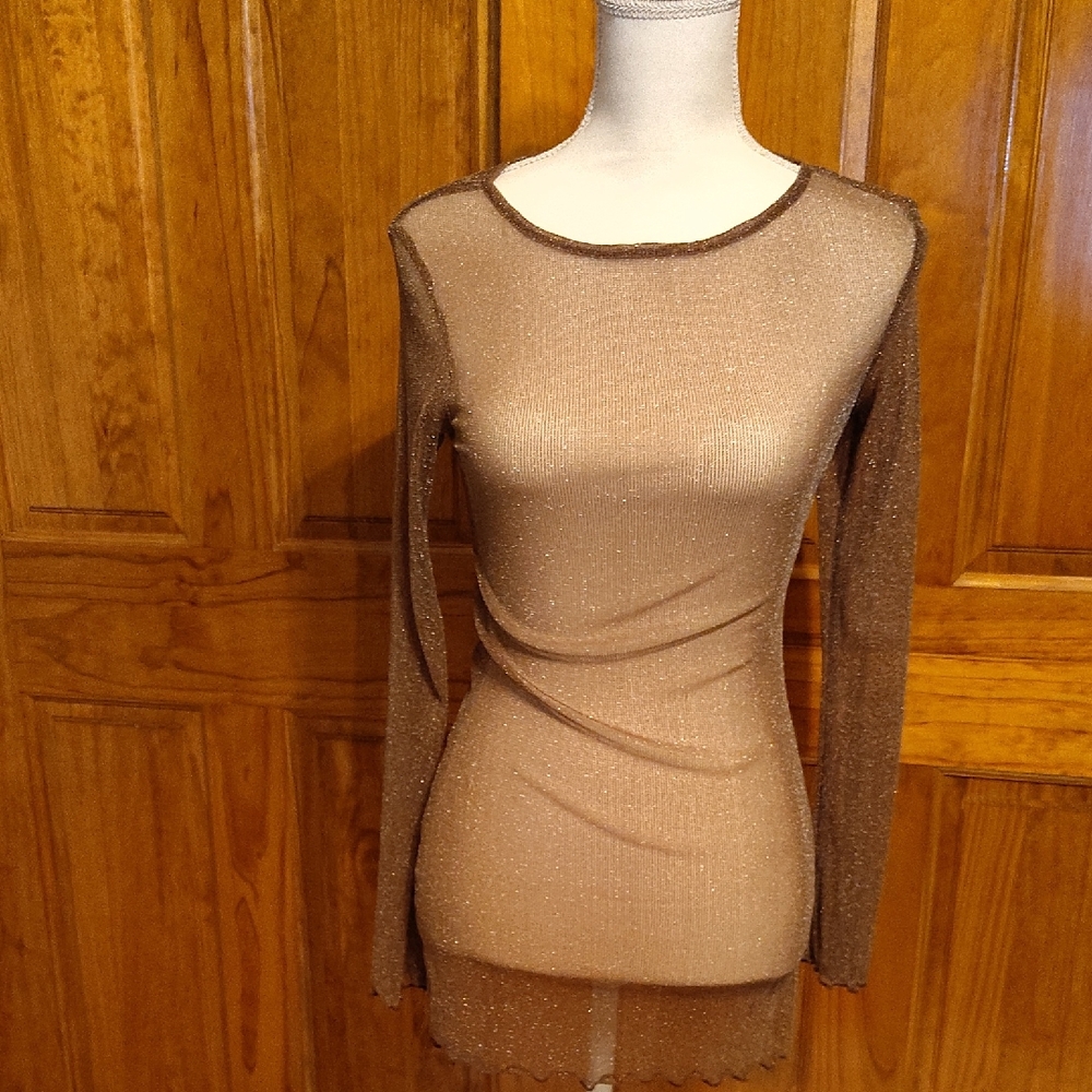 Elegant Sheer Brown Top